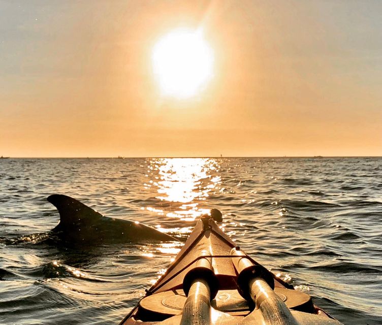 Tierra Verde FL: Coastal Kayaking Tour in Shell Key - Through the old mangrove passages