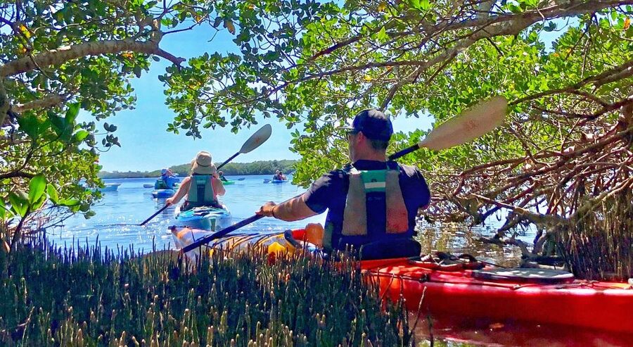 Tierra Verde FL: Coastal Kayaking Tour in Shell Key - Reaching Shell Key for a 30-minute break