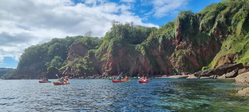 Torquay: Guided Wildlife, Bushcraft, Sea Cave Kayak Safari - Is the $74 price good value?