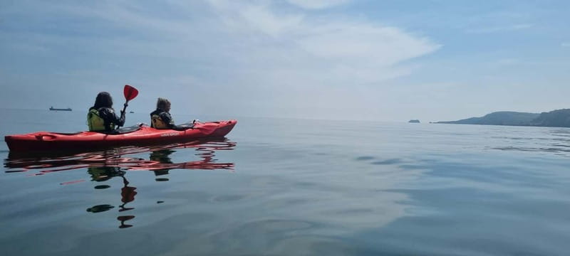 Torquay: Guided Wildlife, Bushcraft, Sea Cave Kayak Safari - Meeting at Oddicombe Beach