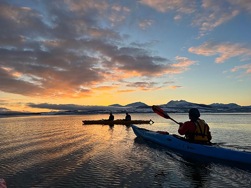 Tromsø: Winter Sea Kayaking Tour with Wildlife Sightings - Key points at a glance