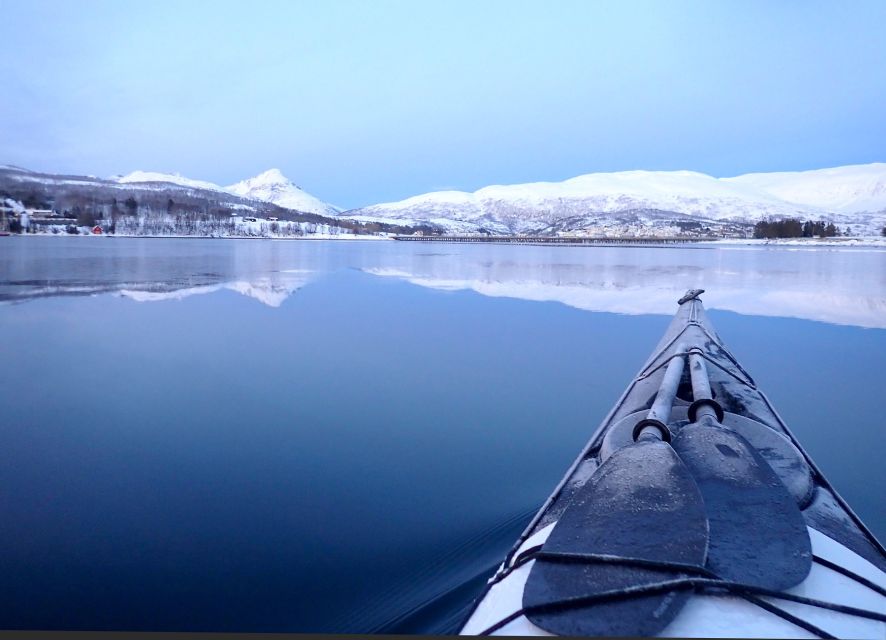 Tromsø: Winter Sea Kayaking Tour with Wildlife Sightings - Why winter kayaking works so well near Tromsø