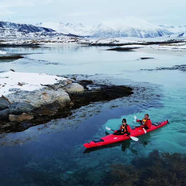 Tromsø: Winter Sea Kayaking Tour with Wildlife Sightings - The physical side, honestly explained