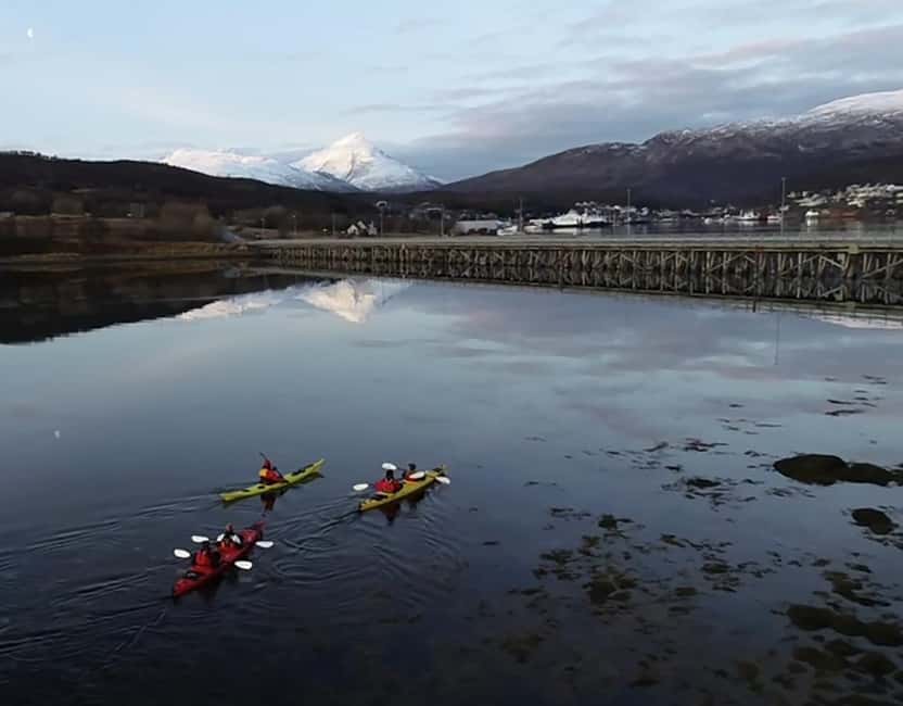 Tromsø: Winter Sea Kayaking Tour with Wildlife Sightings - Is the $225 price fair?