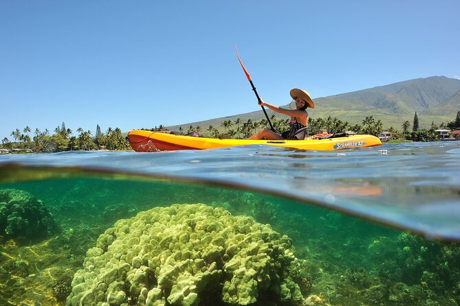 Turtle Reef Kayak Tour of Makena, Maui - What the guides add to the experience