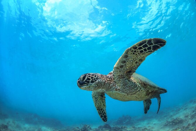 Turtle Reef Kayak Tour of Makena, Maui - Paddling toward Turtle Town