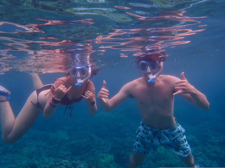 Turtle Town Clear Kayak & Snorkel Tour (8am-11am) - The $130 price and what you receive