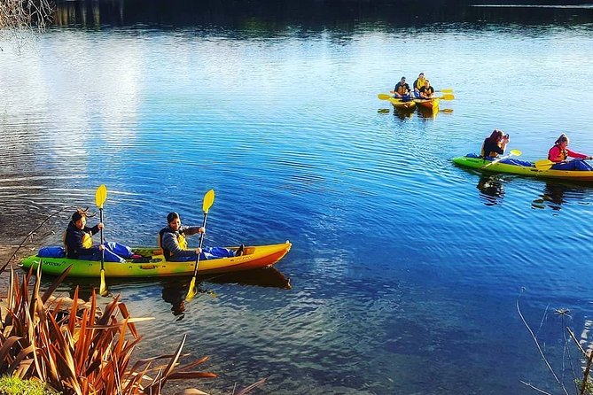Twilight Glowworm Kayak Tour – Lake Karapiro - From the Piarere meeting point to Lake Karapiro
