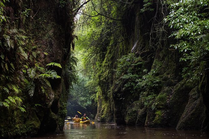 Twilight Glowworm Kayak Tour – Lake Karapiro - The glowworm section after dark