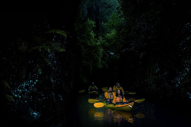 Twilight Glowworm Kayak Tour – Lake Karapiro - The guides shape the quality of the evening