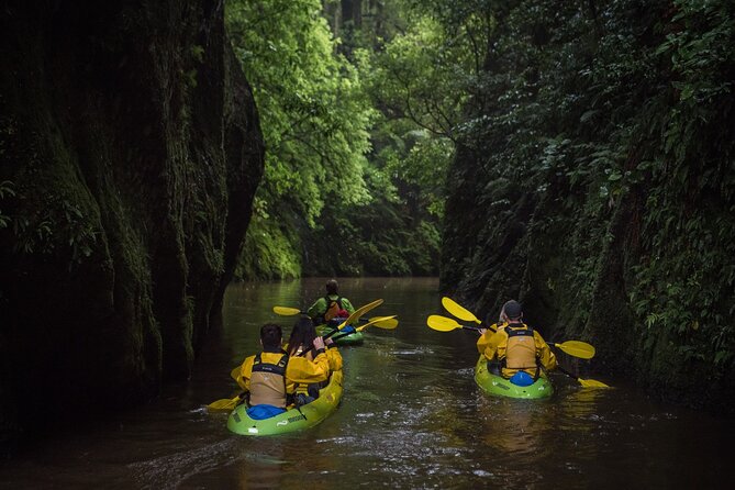 Twilight Glowworm Kayak Tour – Lake Karapiro - What to wear, pack, and expect on the water