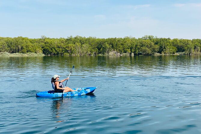 Two Hours Guided Kayaking Tour Reem Central Park Abu Dhabi - The 15-minute beach stop