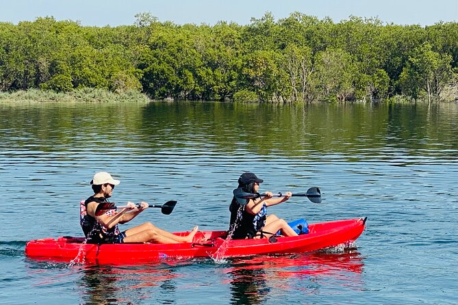 Two Hours Guided Kayaking Tour Reem Central Park Abu Dhabi - Why hotel pickup improves the value