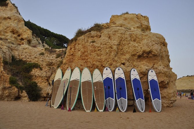 Unique Stand Up Paddle Experience! - What the instructor adds to the outing