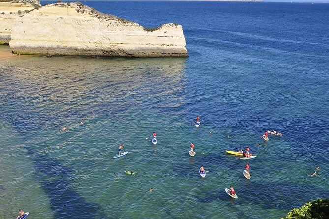 Unique Stand Up Paddle Experience! - Is the $66.16 price good value?
