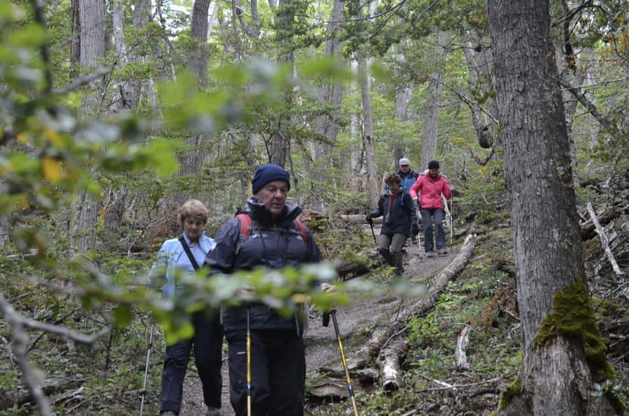 Ushuaia: Tierra del Fuego Trekking and Canoeing - Is $158 a fair price?