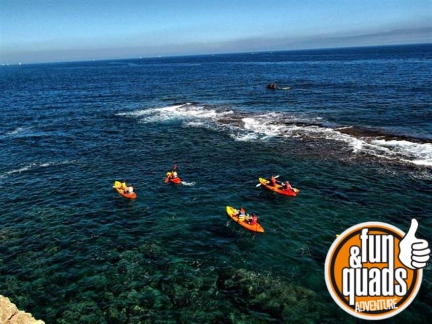 Valencia: Kayak Excursion - What the $59 price really covers