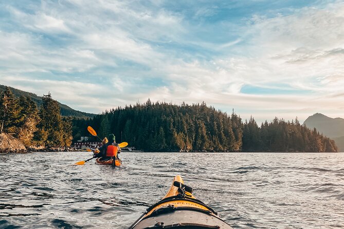 Vancouver Island: Half-Day Kayak Tour from Telegraph Cove - Key points before you book