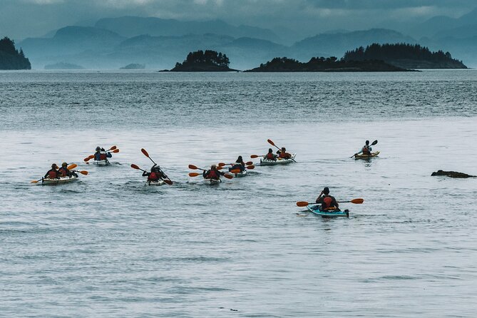 Vancouver Island: Half-Day Kayak Tour from Telegraph Cove - The Blinkhorn Peninsula and the intertidal shallows
