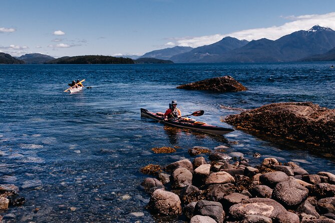 Vancouver Island: Half-Day Kayak Tour from Telegraph Cove - Guides who make the difference