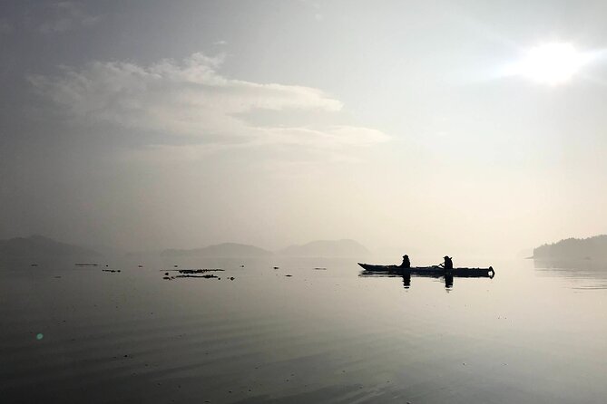 Vancouver Island: Half-Day Kayak Tour from Telegraph Cove - Weather, comfort, and what to bring