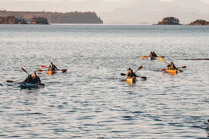 Vancouver Island: Half-Day Kayak Tour from Telegraph Cove - Setting out from Telegraph Cove