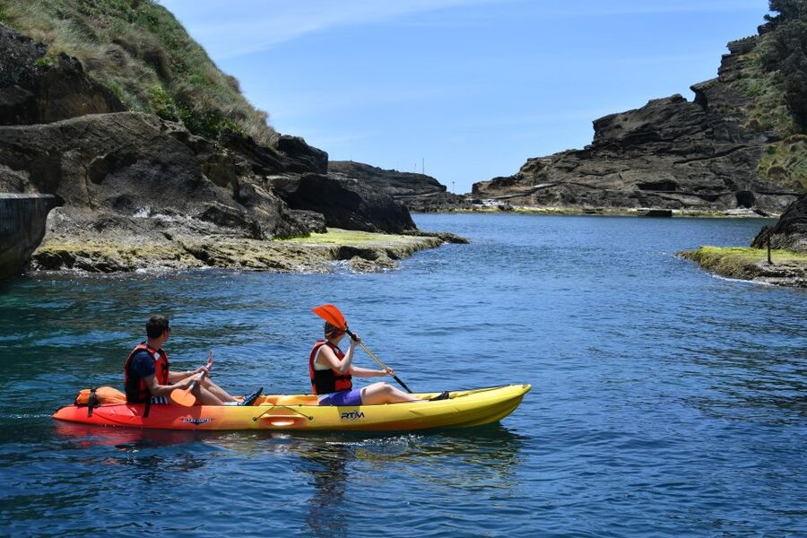 Vila Franca do Campo: Kayak Rental - Choosing the right kayak for your group
