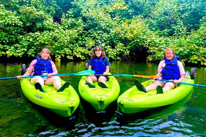 Wailoa River to King Kamehameha Statue Kayak Adventure - Watching for birds, fish, turtles, and rays