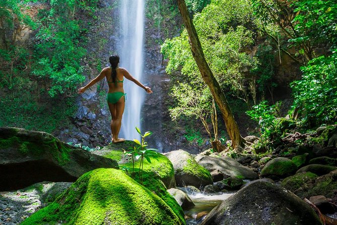 Wailua River Kayak and Sacred Falls Guided Hike with Lunch - Wailua River kayaking, a calm start with tropical views