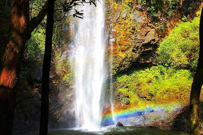 Wailua River & Waterfalls Kayak Tour: Expert-Guided Adventure - The return trip is part of the workout