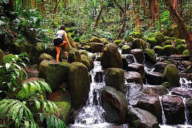 Wailua River & Waterfalls Kayak Tour: Expert-Guided Adventure - What the $145.86 price includes