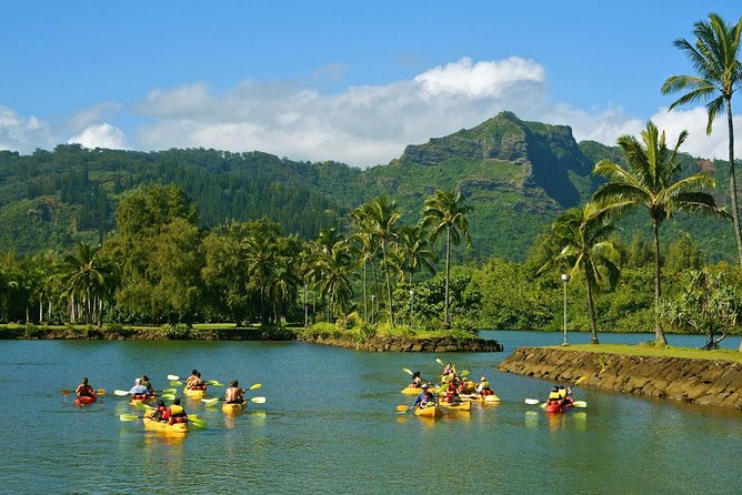 Wailua River & Waterfalls Kayak Tour: Expert-Guided Adventure - Who will enjoy this Kauai adventure