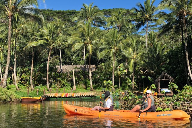 Wailua River & Waterfalls Kayak Tour: Expert-Guided Adventure - Practical preparation for mud, water, and sun