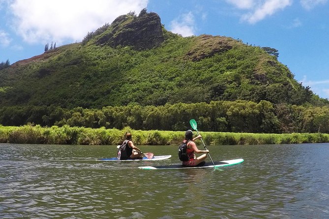 Wailua River & Waterfalls Kayak Tour: Expert-Guided Adventure - Should you book the Wailua River and Waterfalls Kayak Tour?