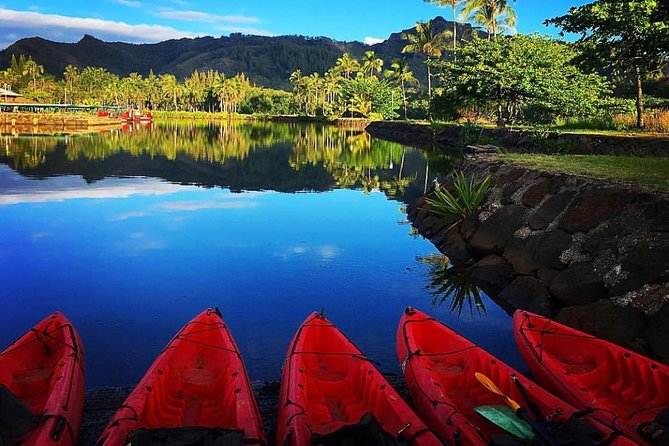 Wailua River & Waterfalls Kayak Tour: Expert-Guided Adventure - The rainforest route to Uluwehi Falls