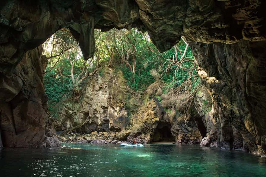 Whangamata: Donut Island Guided Kayaking Experience - Key points to know before paddling out