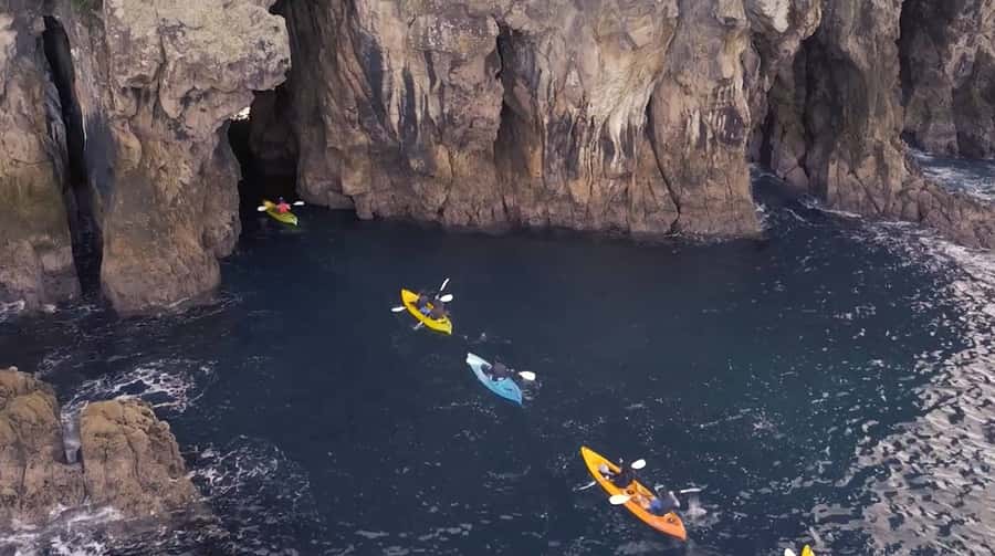 Whangamata: Donut Island Guided Kayaking Experience - Why Donut Island feels different from a standard kayak trip