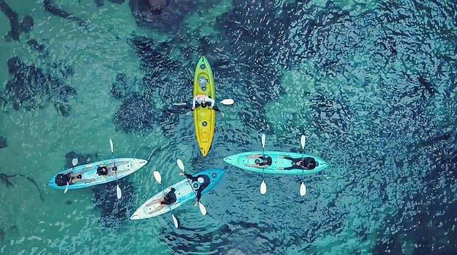 Whangamata: Donut Island Guided Kayaking Experience - From 100 Pipi Road to Whangamata Beach