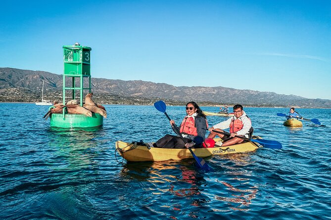 Wildlife Kayak Tour in Santa Barbara Harbor (2 Hours) - Starting calmly inside Santa Barbara Harbor