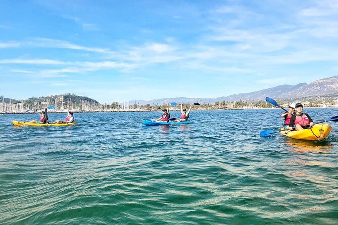Wildlife Kayak Tour in Santa Barbara Harbor (2 Hours) - What to wear and what to leave behind