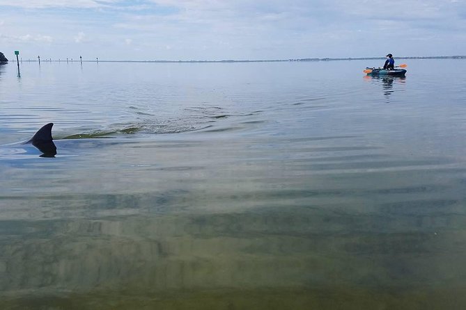 Wildlife Refuge Manatee, Dolphin & Mangrove Kayak or Paddleboarding Tour! - Paddling from Haulover Canal into Florida’s wild side