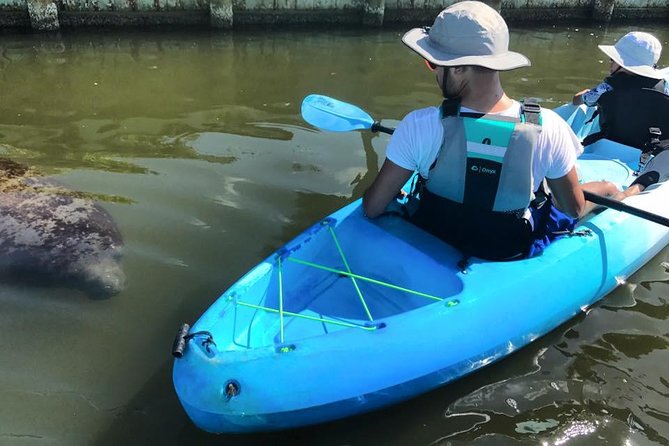 Wildlife Refuge Manatee, Dolphin & Mangrove Kayak or Paddleboarding Tour! - Manatees and dolphins depend on the day