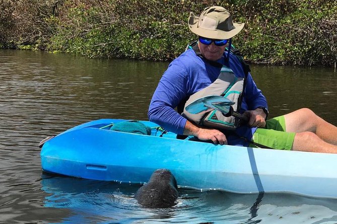 Wildlife Refuge Manatee, Dolphin & Mangrove Kayak or Paddleboarding Tour! - What to bring for a comfortable paddle