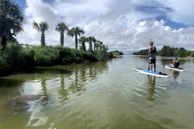 Wildlife Refuge Sunset Dolphin, Manatee & Mangrove Kayak or Paddleboarding Tour! - Key points to know before booking