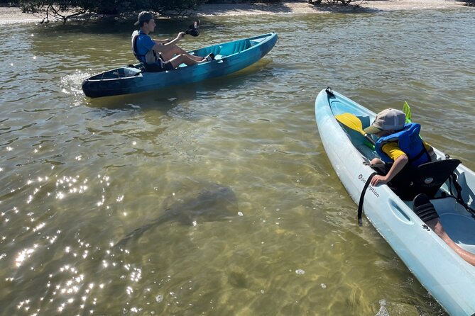 Wildlife Refuge Sunset Dolphin, Manatee & Mangrove Kayak or Paddleboarding Tour! - Haulover Canal is the real starting point