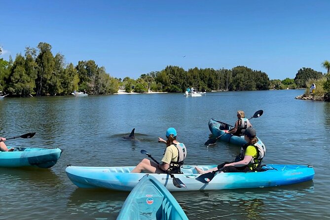 Wildlife Refuge Sunset Dolphin, Manatee & Mangrove Kayak or Paddleboarding Tour! - What the two-hour paddle feels like