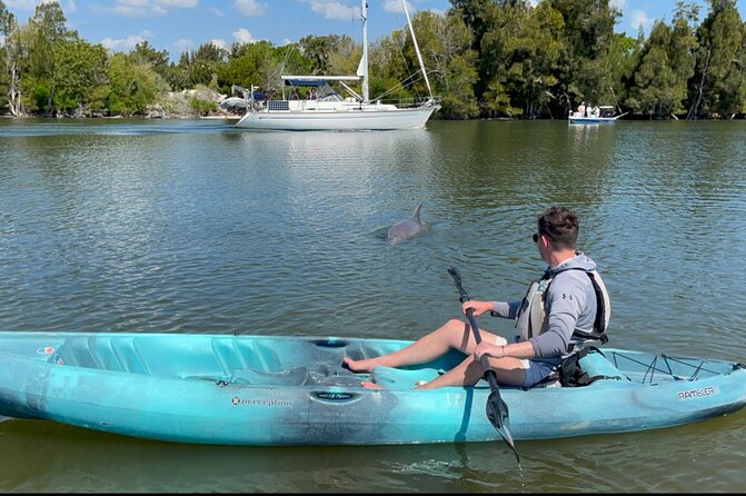 Wildlife Refuge Sunset Dolphin, Manatee & Mangrove Kayak or Paddleboarding Tour! - Sunset is more than a final photo stop
