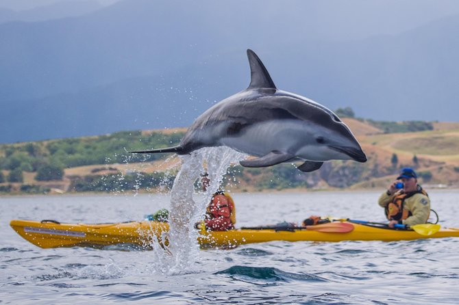 Wildlife Sea Kayaking Tour - Kaikoura - Kaikoura Peninsula Walkway: Mountains Behind the Marine Reserve